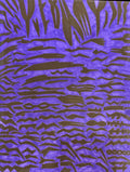 Zebra Striped