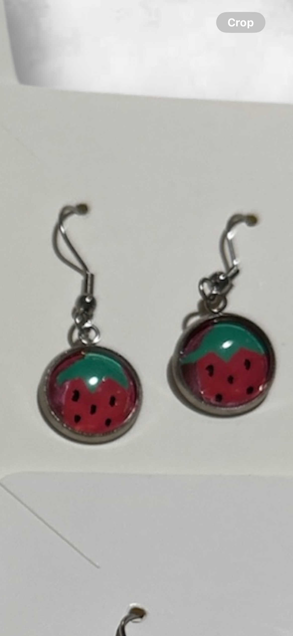 Euro Wire Small Earrings