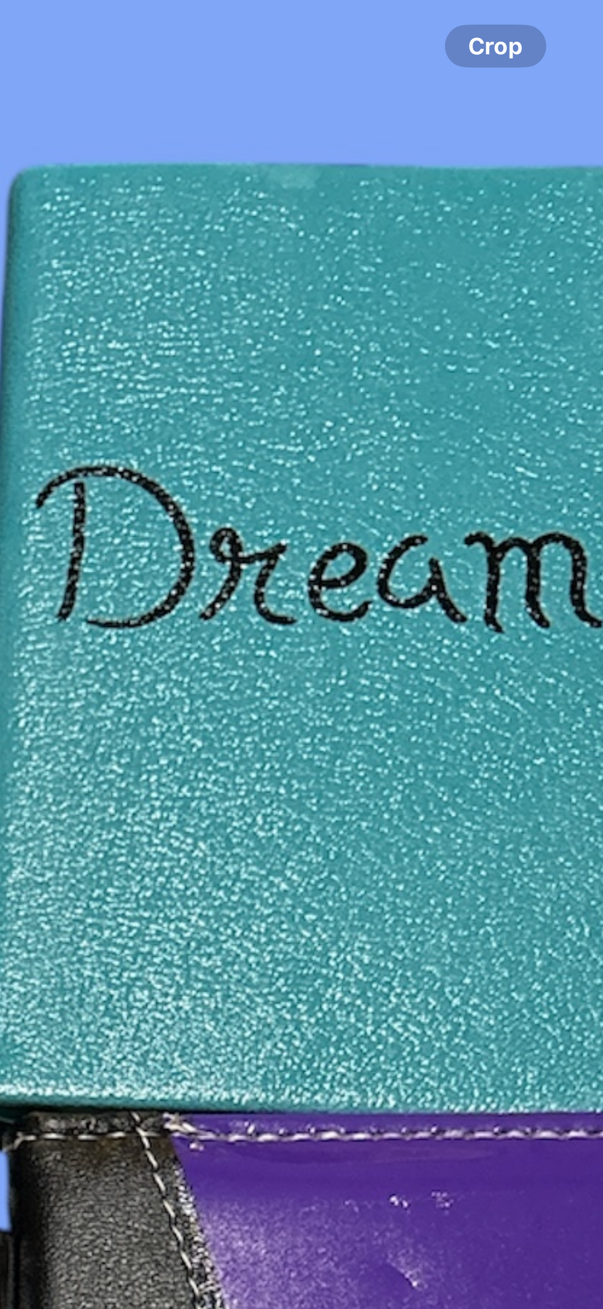 Leather Journals
